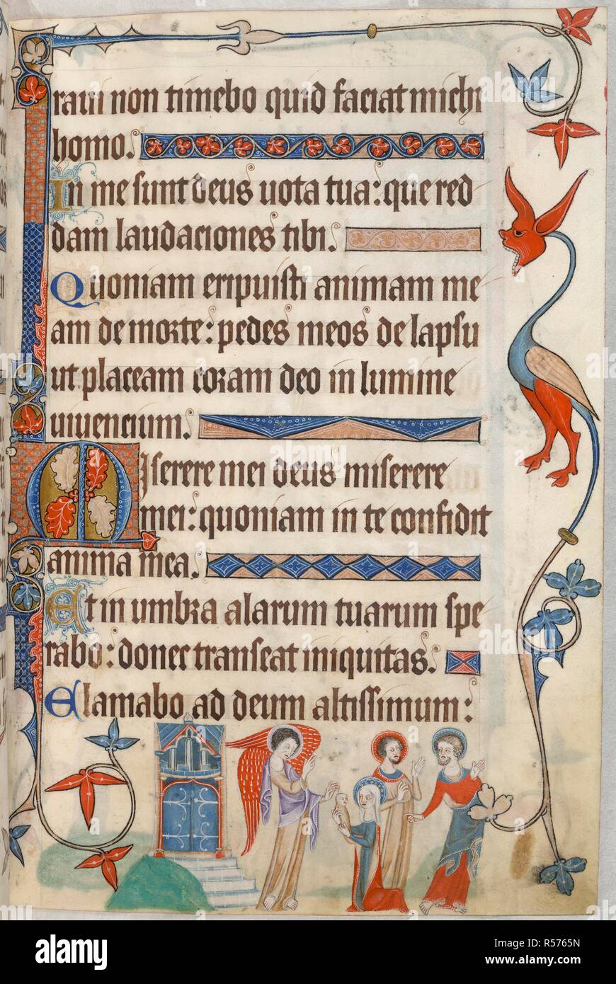 Miracle of the unchaste abbess. Luttrell Psalter. England [East Anglia]; circa 1325-1335. [Whole folio] End of Psalm 55. Psalm 56 beginning with decorated initial 'M'. Border decoration with animal grotesque. In the lower margin, an angel receives an infant from the kneeling Virgin, with two apostles behind her. On left is a building with two doors at the top of some steps. The scene represents an episode in the miracle of the unchaste abbess, whose child was entrusted by the Virgin to an angel, to be handed over to a hermit  Image taken from Luttrell Psalter.  Originally published/produced in Stock Photo