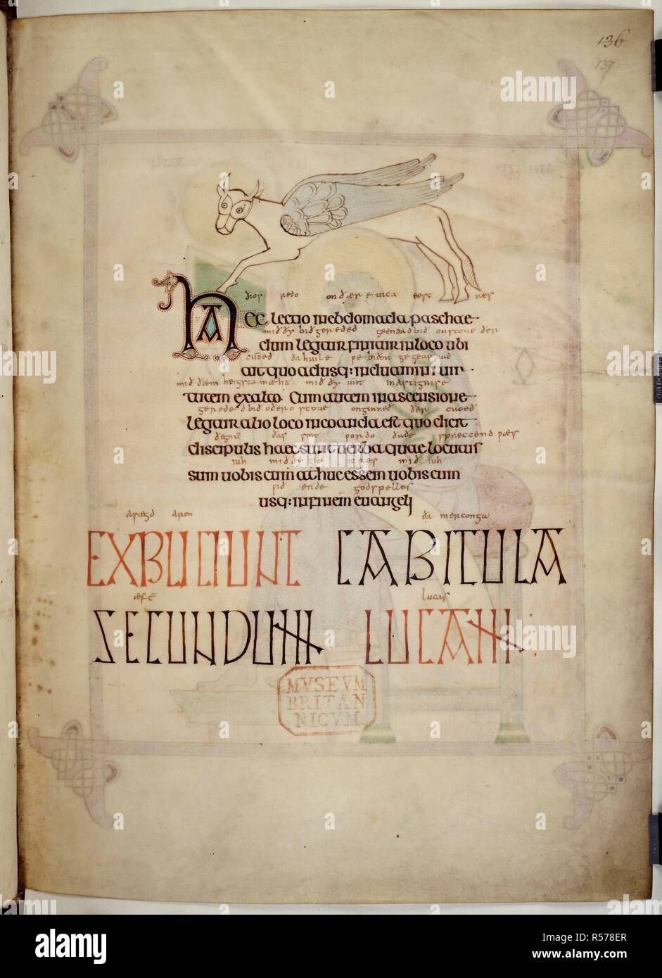 The winged calf of St Luke. Lindisfarne Gospels. N.E. England [Lindisfarne]; 710-721. [Whole folio] Stylized drawing of the symbol of St Luke, the winged calf; with text  Image taken from Lindisfarne Gospels.  Originally published/produced in N.E. England [Lindisfarne]; 710-721. . Source: Cotton Nero D. IV, f.137. Language: Latin, with Anglo-Saxon glosses. Stock Photo
