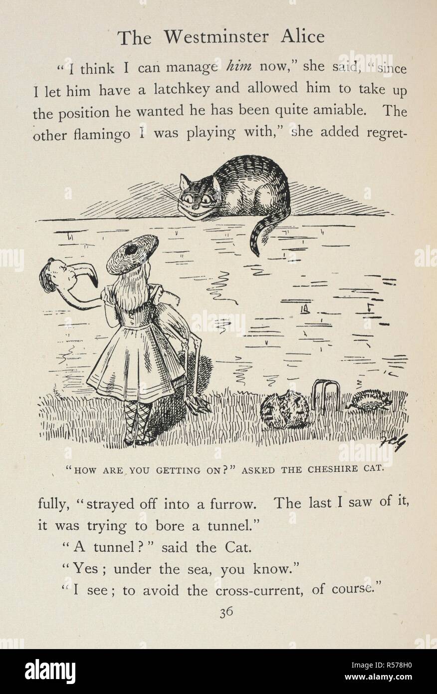 Alice in difficulties. â€œHow are you getting on?â€ asked the Cheshire Cat.  â€œIâ€™m notâ€, said Alice.  . The Westminster Alice ... Illustrated by F. Carruthers Gould. London : Westminster Gazette, 1902. Source: 12332.ff.15 page 36. Author: SAKI. GOULD, FRANCIS CARRUTHERS. Stock Photo