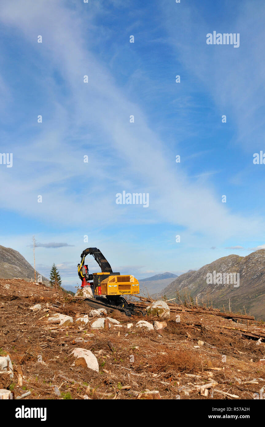 tree, timber harvesting machine in the north west of Scotland. Stock Photo