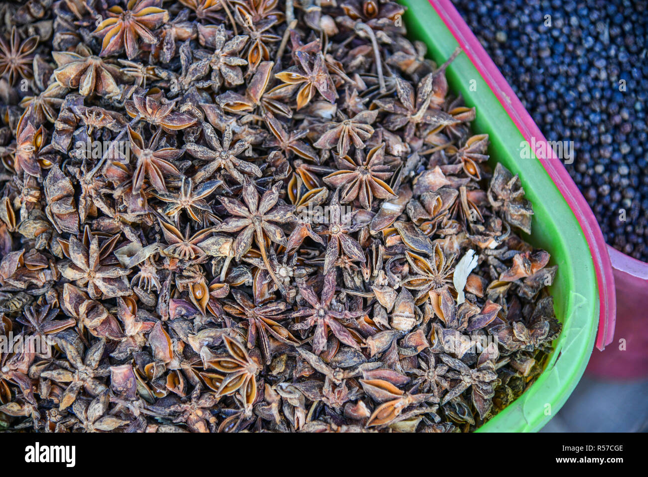 Star anise (Illicium verum) and anise seed, also known as aniseed