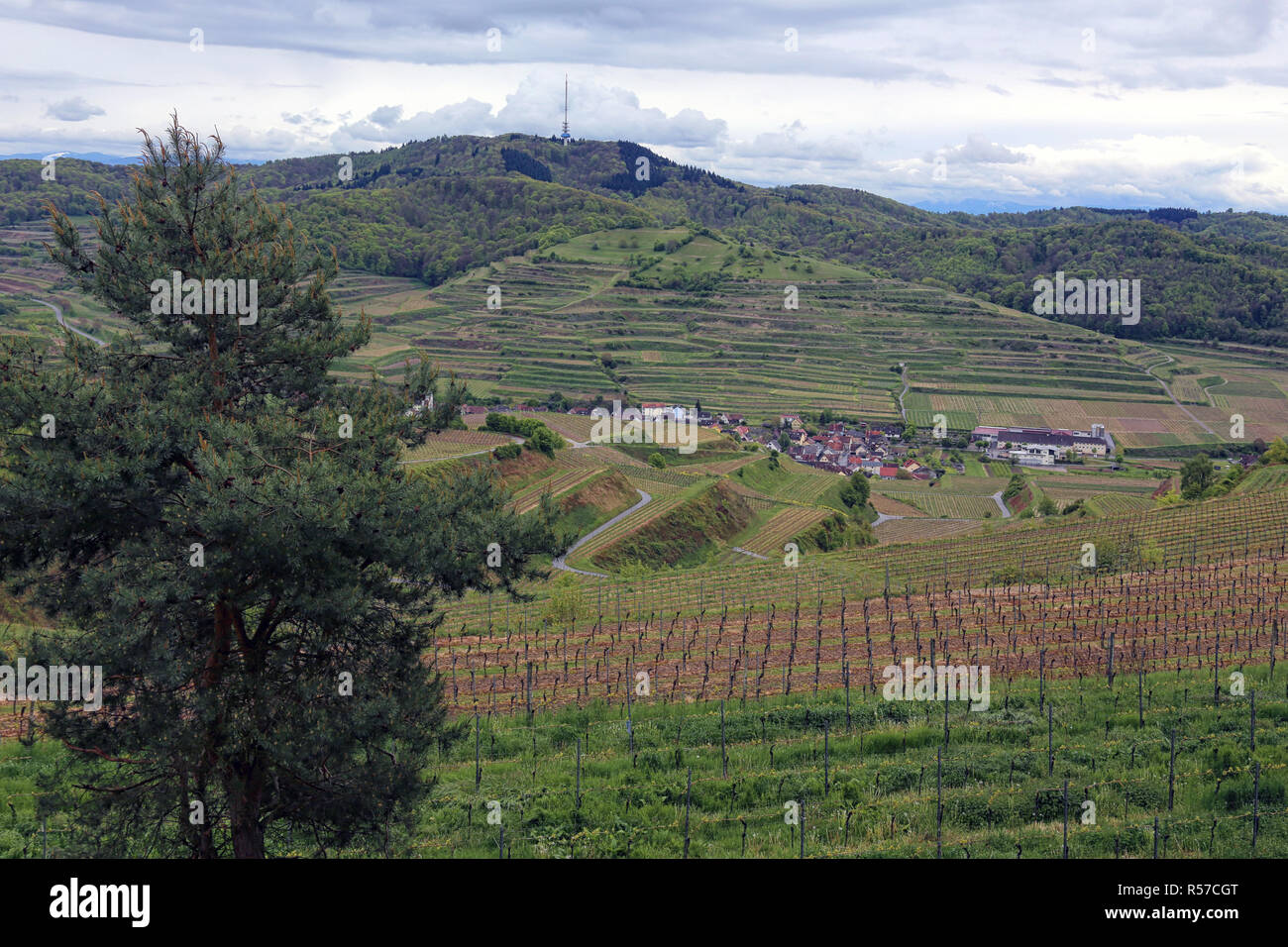 oberbergen in the inner kaiserstuhl with the skull in the background Stock Photo