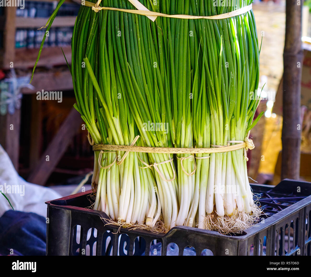 Bunches of green onions on display at a farmer market Stock Photo - Alamy