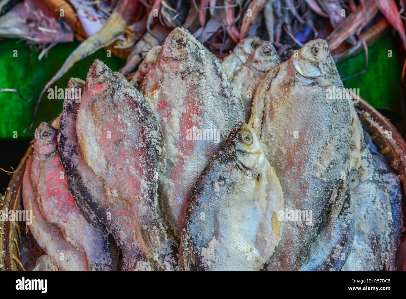 Traditional Asian fish market, stall full of dried seafood in Taunggyi