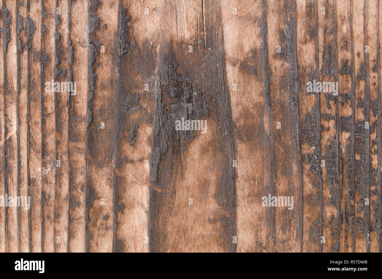 Burnt Wood Texture Brown Color Stock Photo 226972491 Alamy