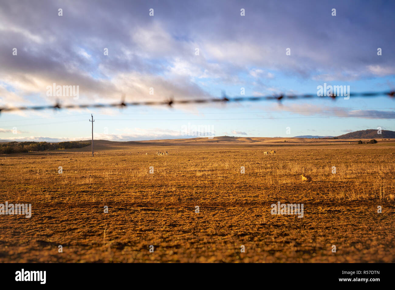 Australian Landscape Farms Hi-res Stock Photography And Images - Alamy