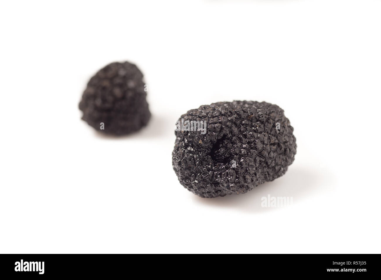 exclusive cotton sarees