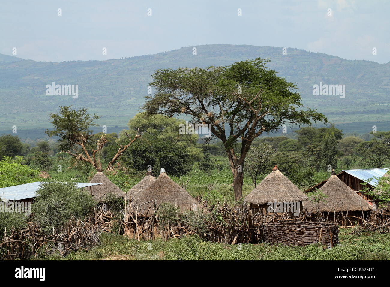 traditional straw huts in the omo valley of ethiopia Stock Photo