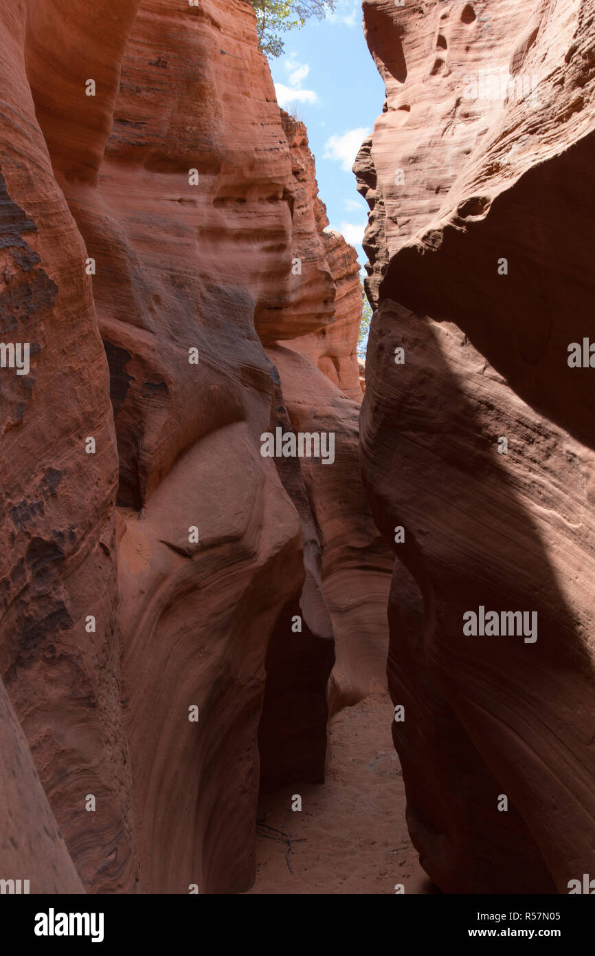 Wire Pass Slot Canyon 13 Stock Photo