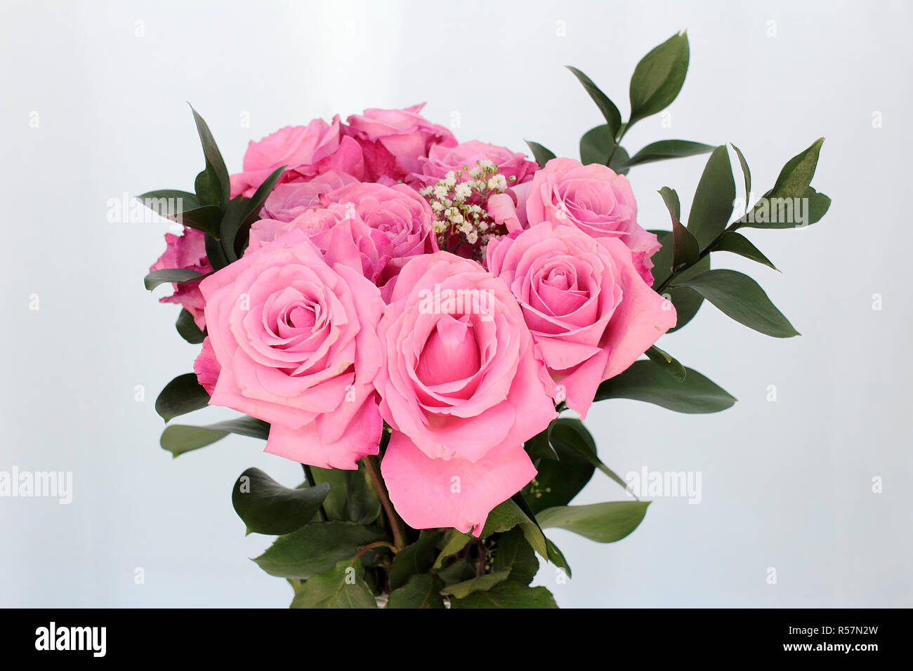 Bouquet of Pink Roses on a White Background Stock Photo - Alamy
