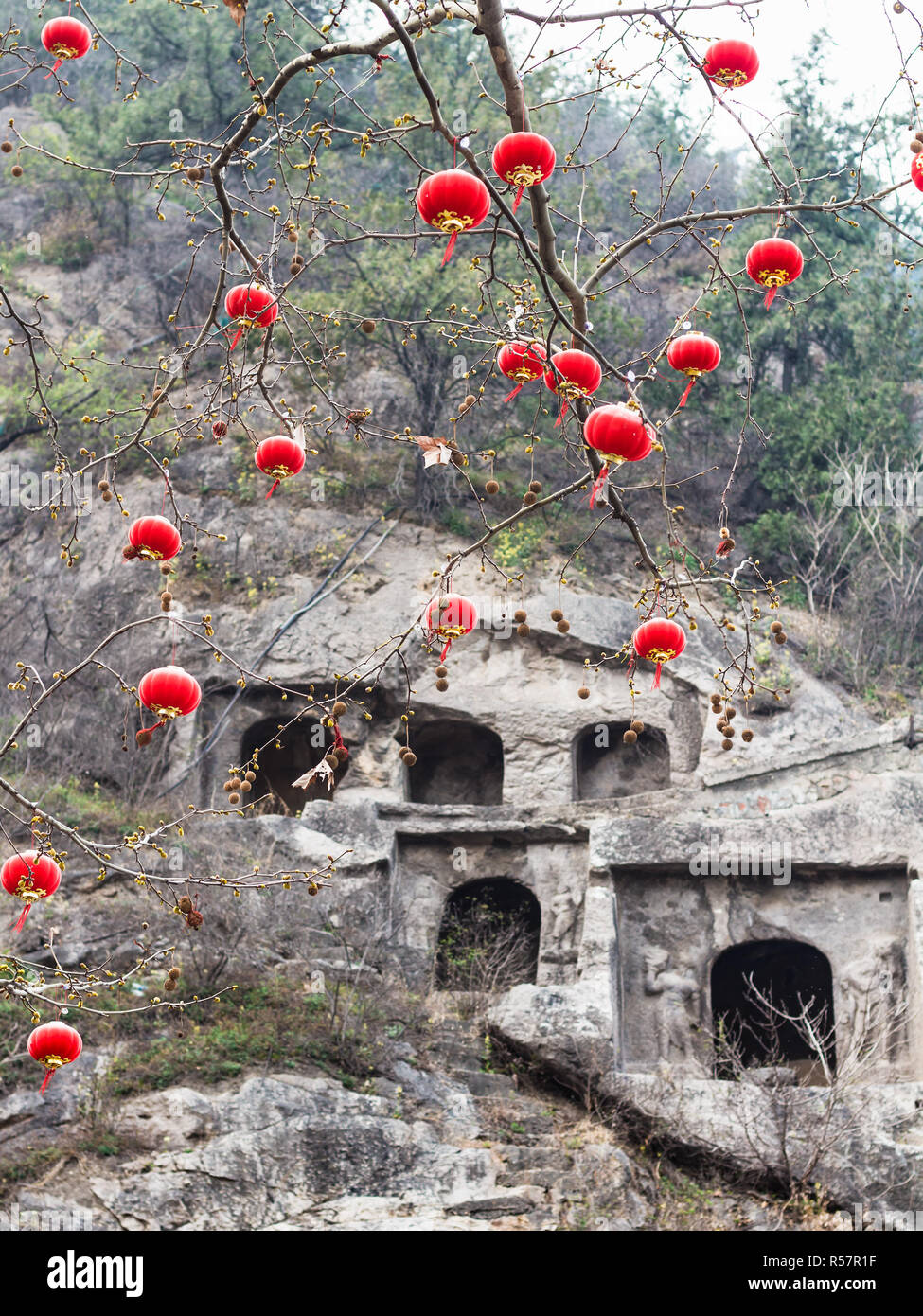 chinese red lanterns of tree branches and caves Stock Photo