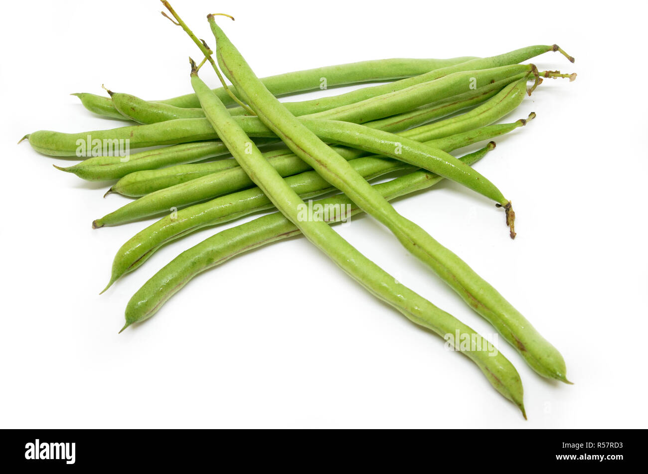 French green bean Stock Photo Alamy