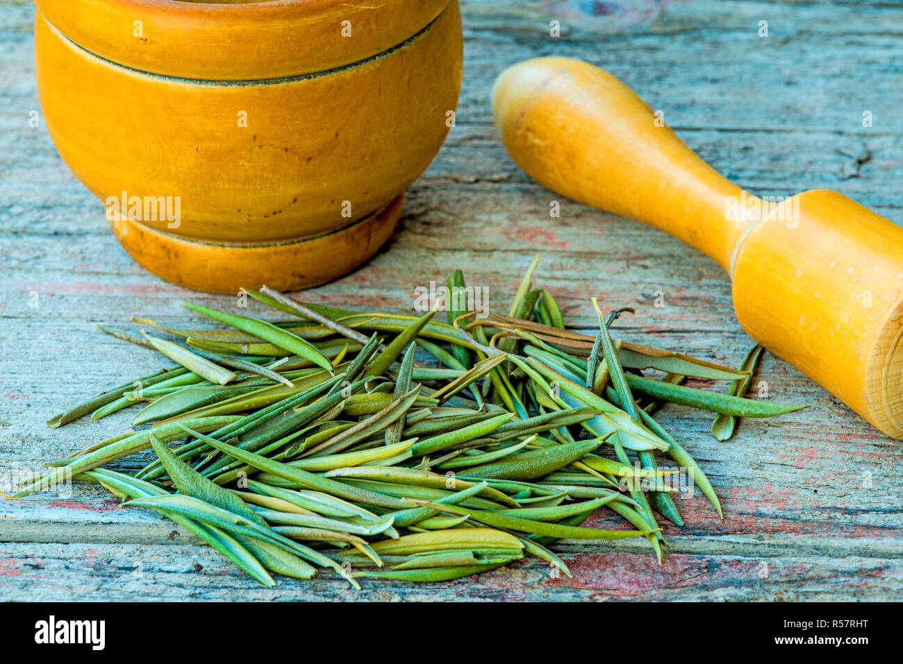 olive leaf tea or olive leaf tea Stock Photo Alamy