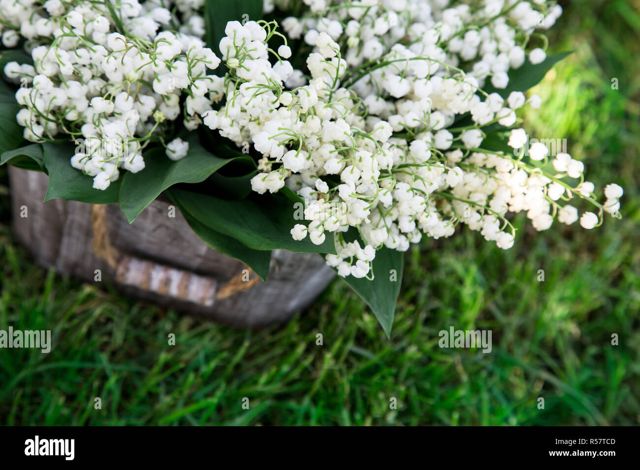 Bouquet of lilies of the valley in a basket. floral background with ...