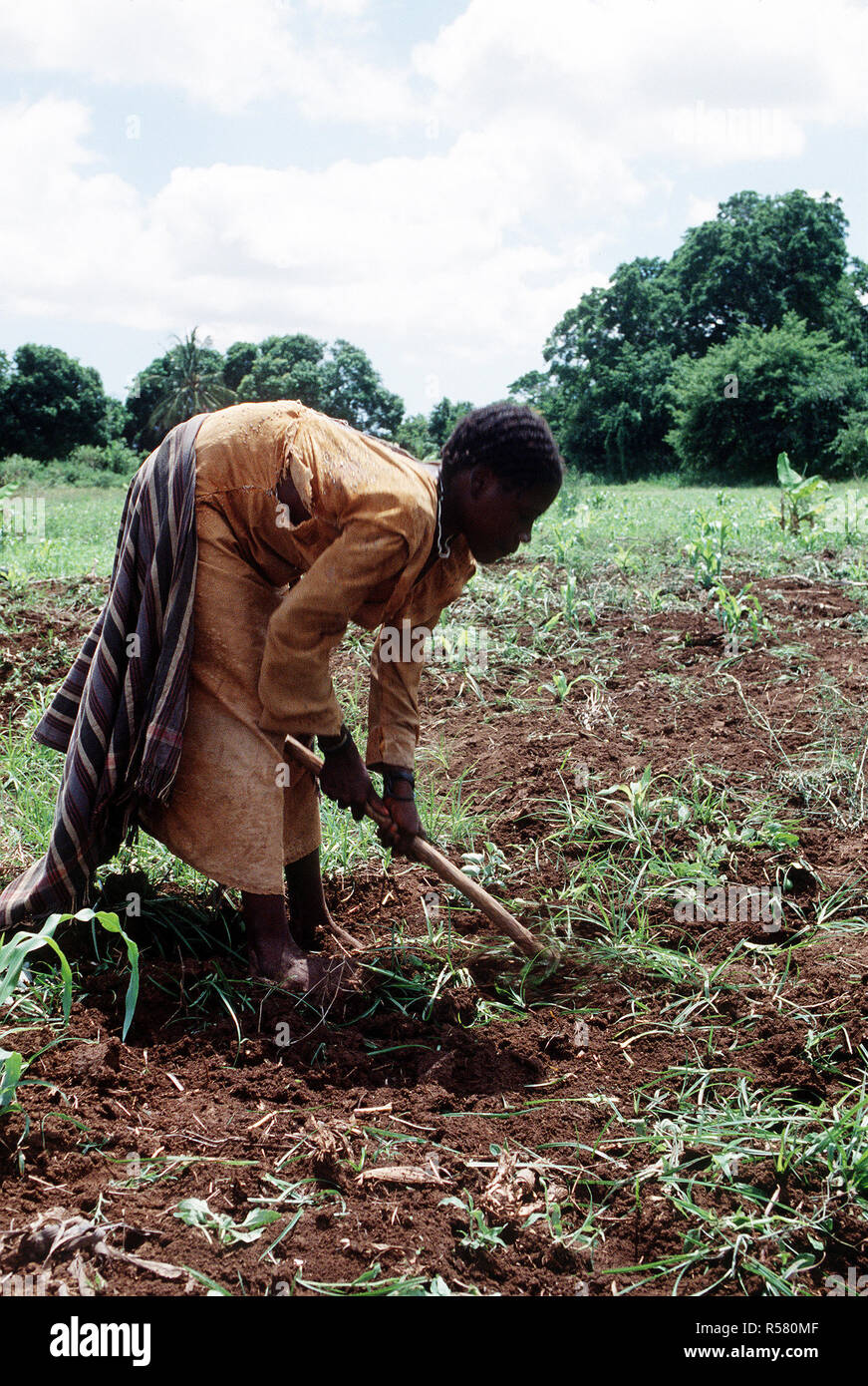 1993 - A Somali woman working in the fields in Kismayo, Somalia while U.S. Forces were in Somalia for Operation Continue Hope. Stock Photo