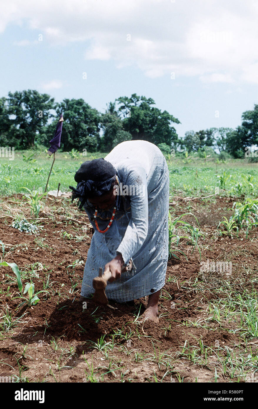 A Somali woman working in the fields in Kismayo, Somalia while U.S. Forces were in Somalia for Operation Continue Hope. Stock Photo