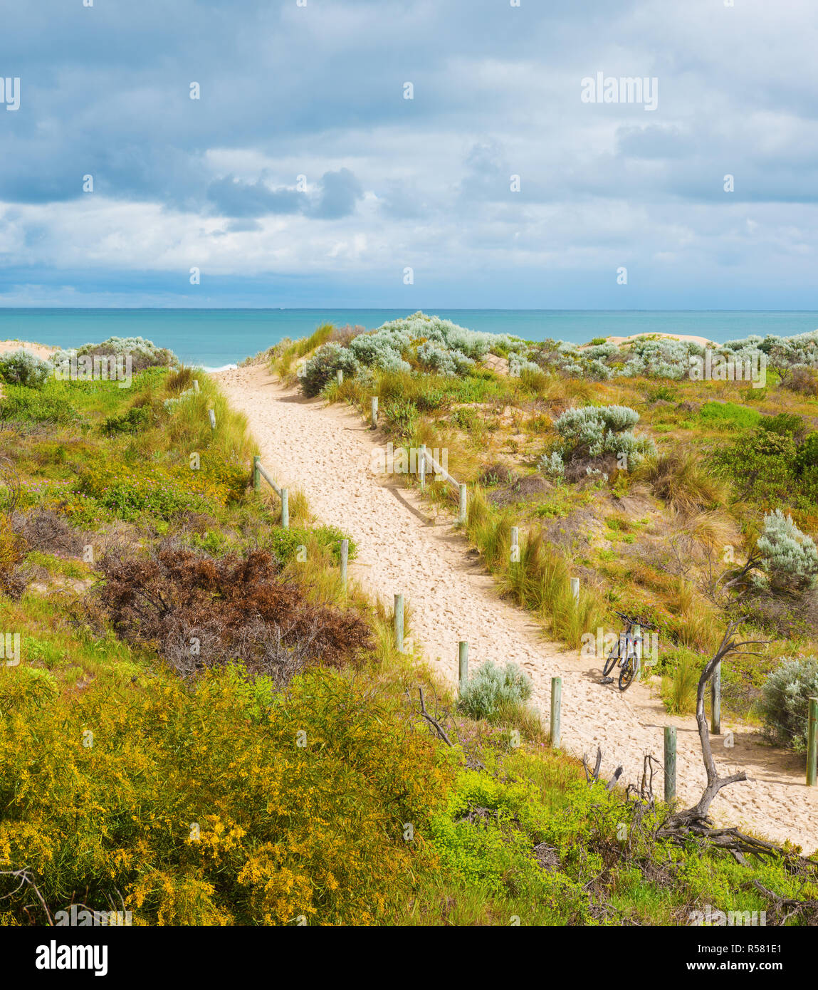 Beautiful scenic view of the dunes with lush flowering vegetation .Western Australia near Perth.Top  view. Stock Photo