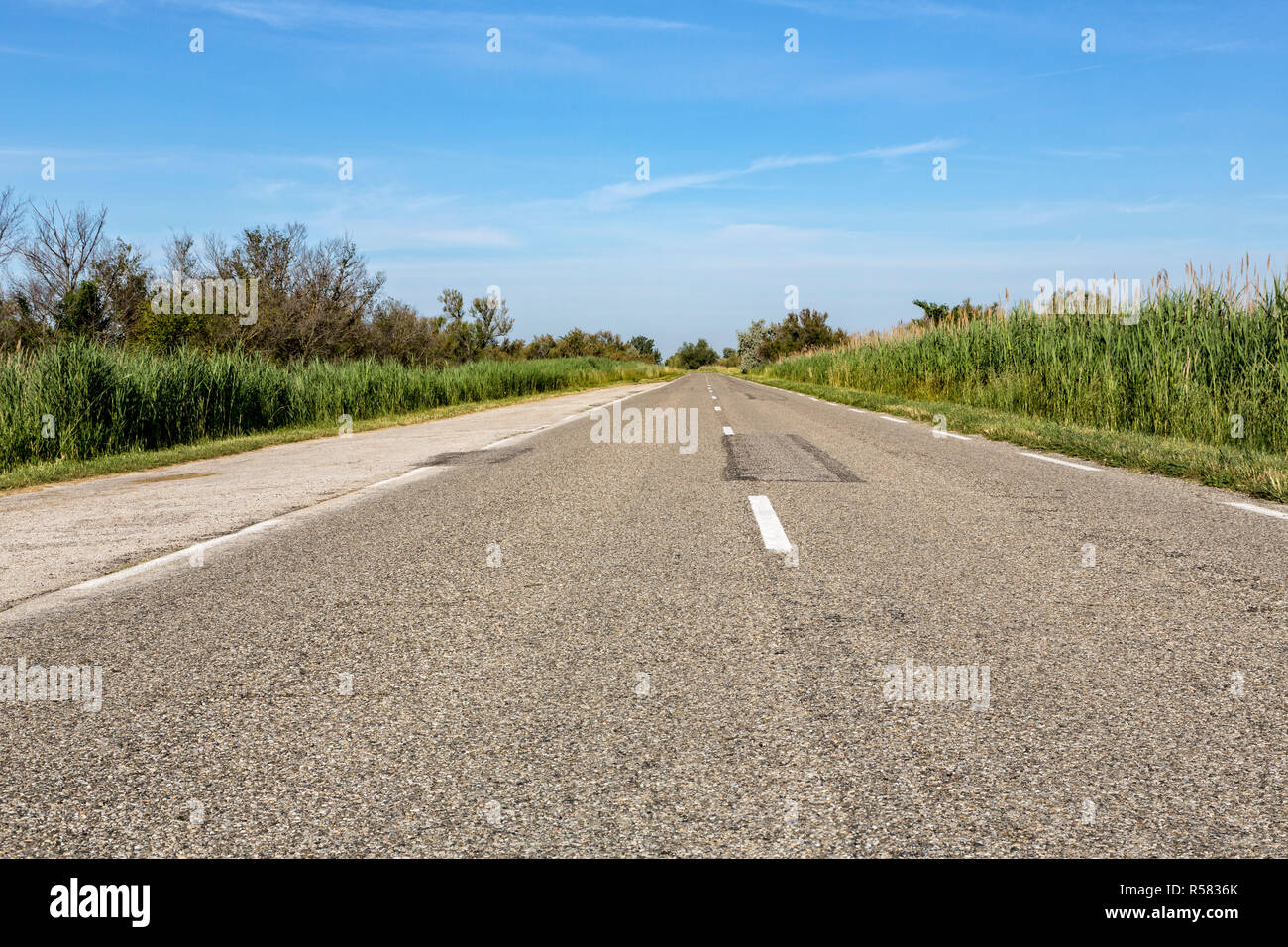 country road in the camargue,southern france Stock Photo