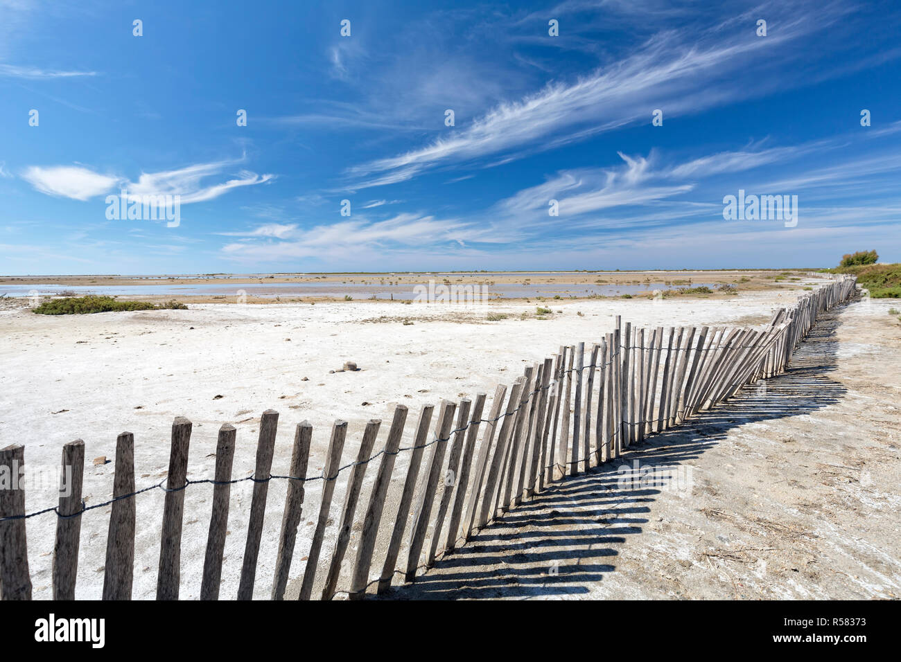 typical landscape in the southern camargue,southern france Stock Photo
