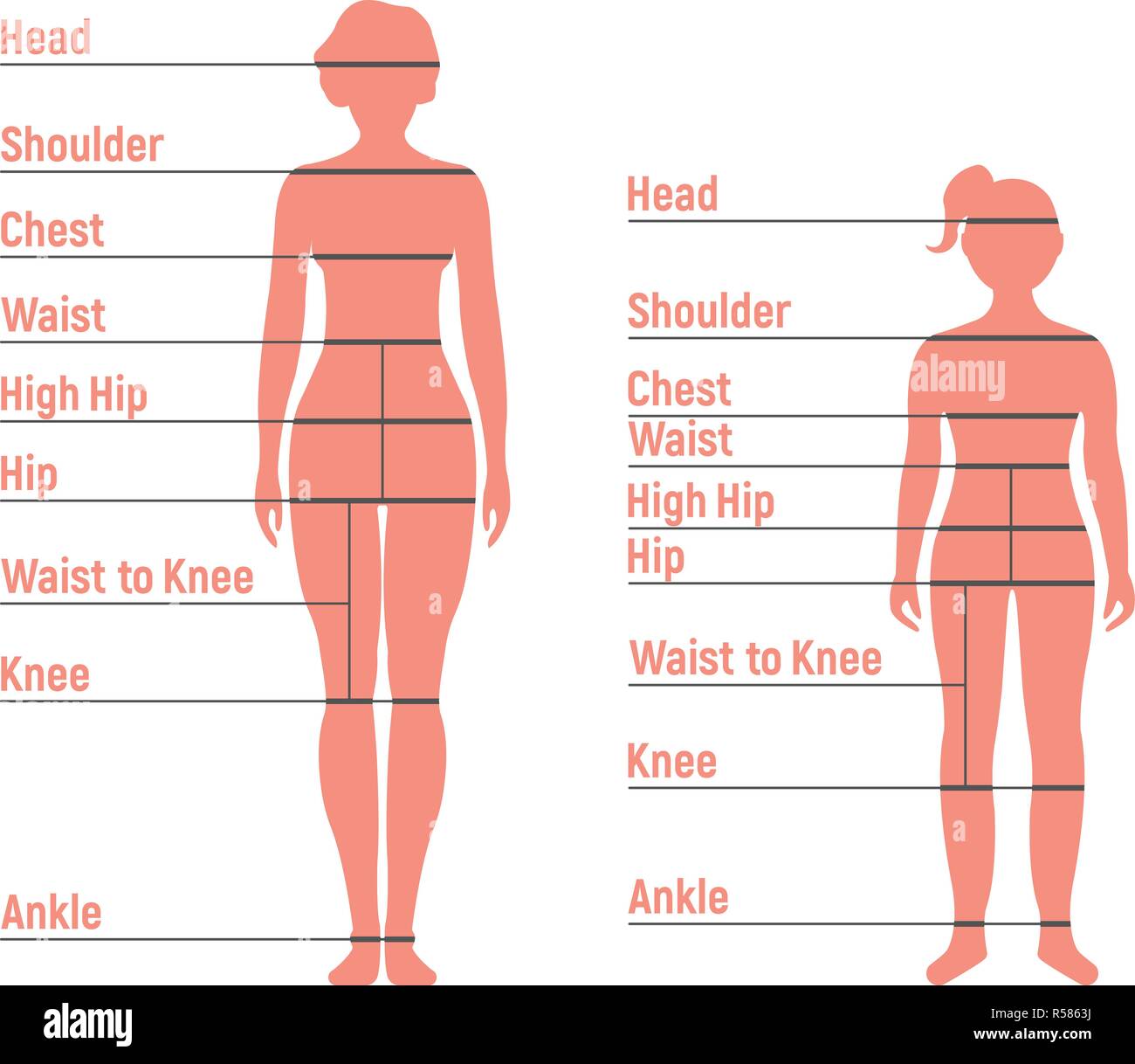 Woman and Girl Size Chart. Human front side Silhouette. Isolated
