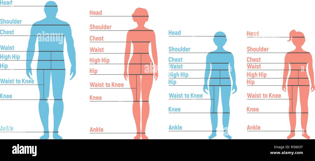 Silhouette Size Chart