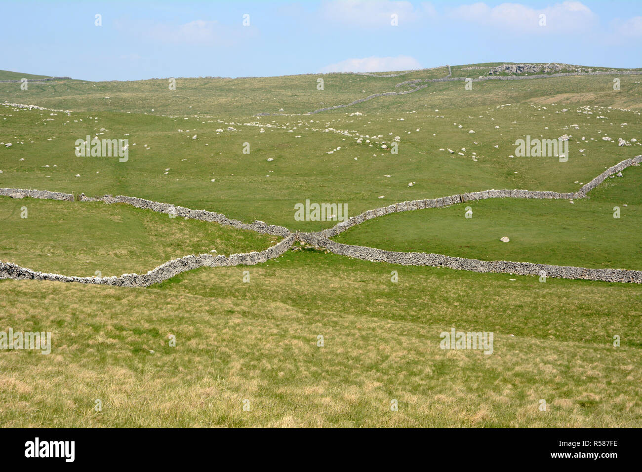 Intersecting dry stone walls running across the moors along the Dales Way hiking trail, in Yorkshire, northern England, United Kingdom. Stock Photo
