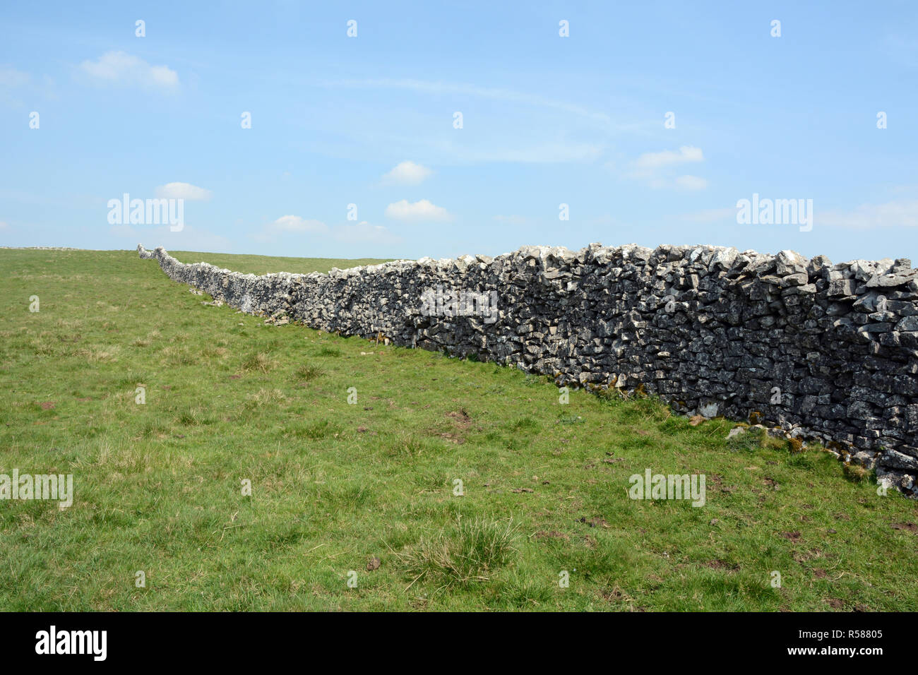 A dry stone wall running across the moors along the Dales Way hiking trail, in Yorkshire, northern England, United Kingdom. Stock Photo