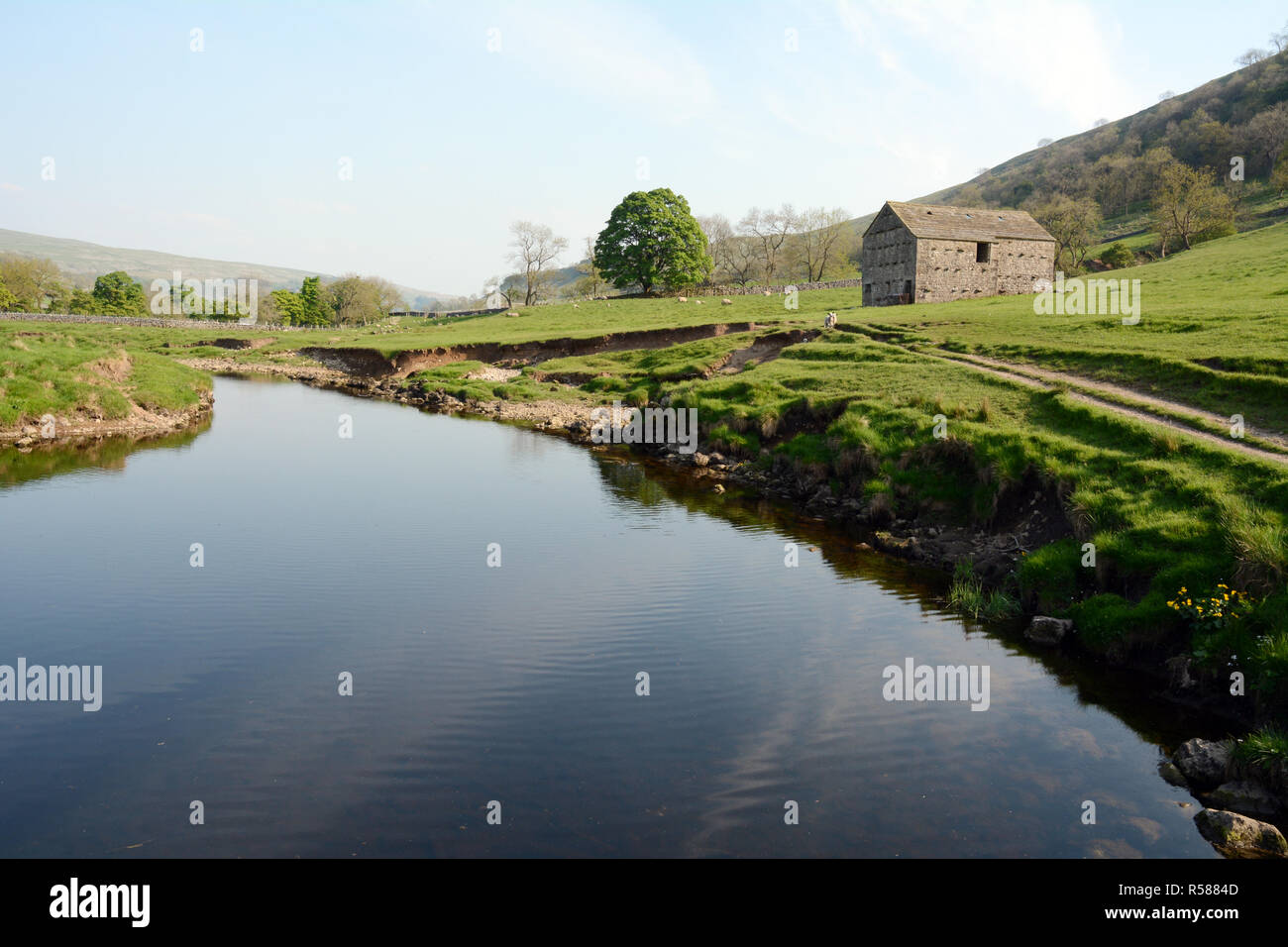 The scenic banks of the river Wharfe in the countryside on the Dales Way hiking trail, near Starbotton, Yorkshire, Northern England, Great Britain. Stock Photo