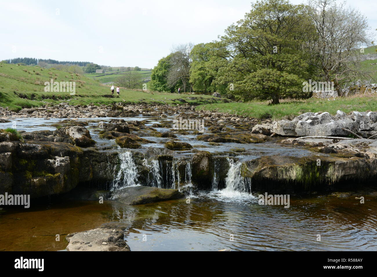 Two walkers traveling along the banks of the river Wharfe, near Buckden, on the Dales Way hiking trail, Yorkshire, Northern England, United Kingdom. Stock Photo