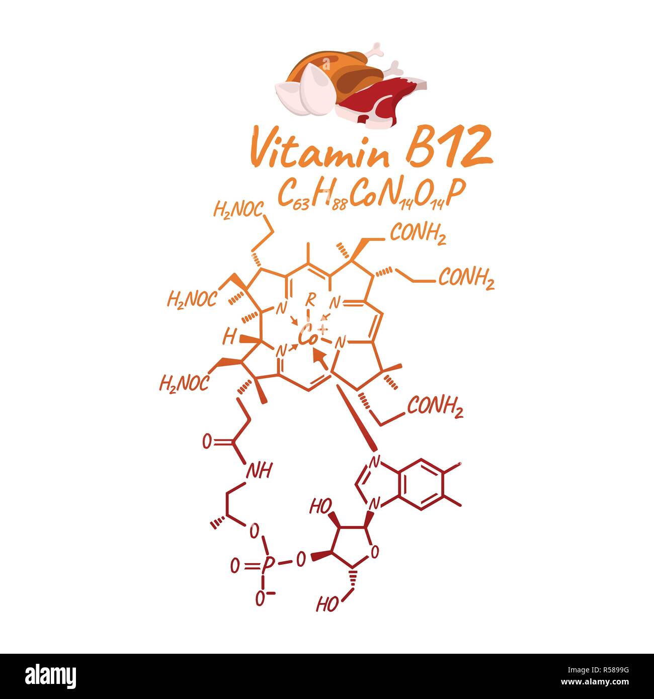 Vitamin B12 with Food Label and Icon. Chemical Formula and Structure Logo. Vector Illustration. Stock Vector