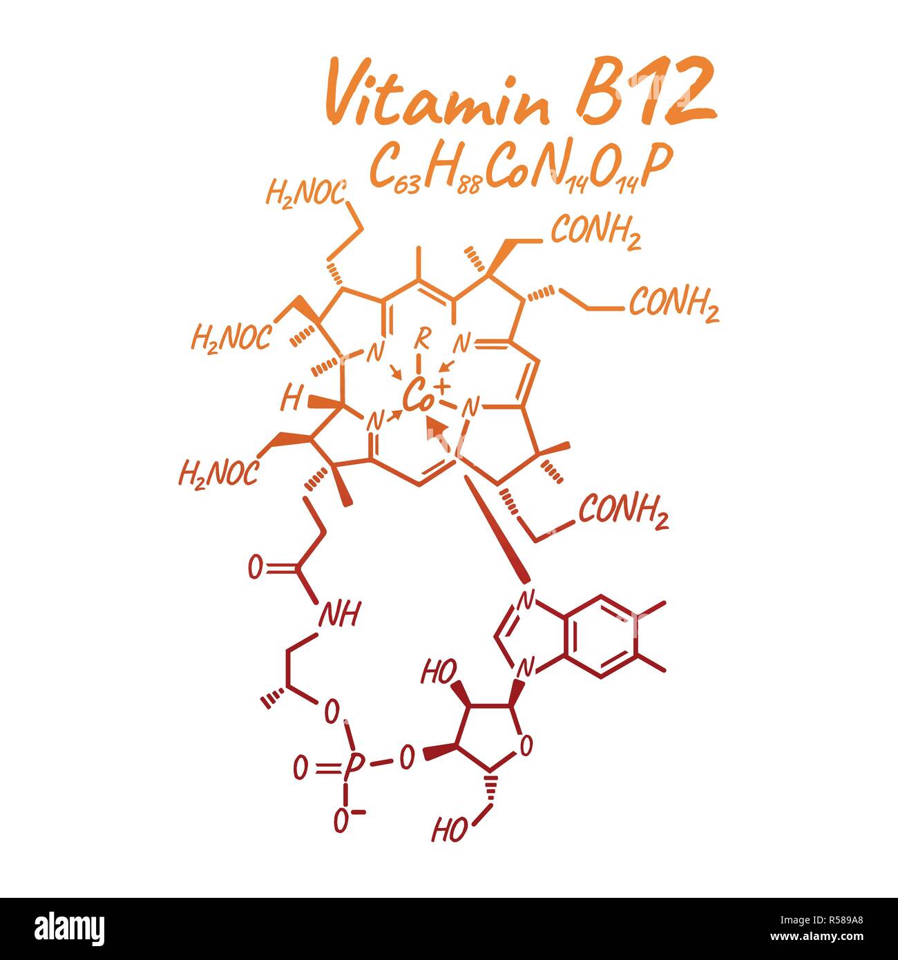 Vitamin B12 Label and Icon. Chemical Formula and Structure Logo. Vector Illustration. Stock Vector