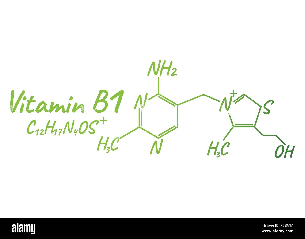 Vitamin B1 Label and Icon. Chemical Formula and Structure Logo. Vector