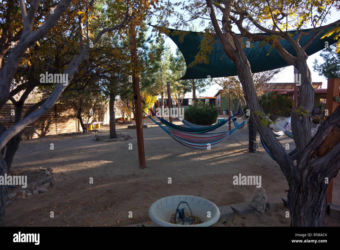 Hammocks at the Integratron in Landers, California Stock Photo