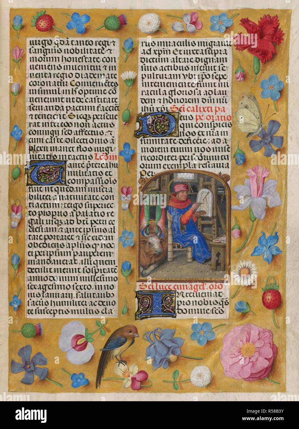 Sanctorale. St Luke.  Border containing flowers and a bird. Isabella Breviary. Breviary, Use of the Dominicans ('The Breviary of Queen Isabella of Castile'). c1497. Source: Add. 18851 f.473. Author: Master of James IV of Scotland. Stock Photo