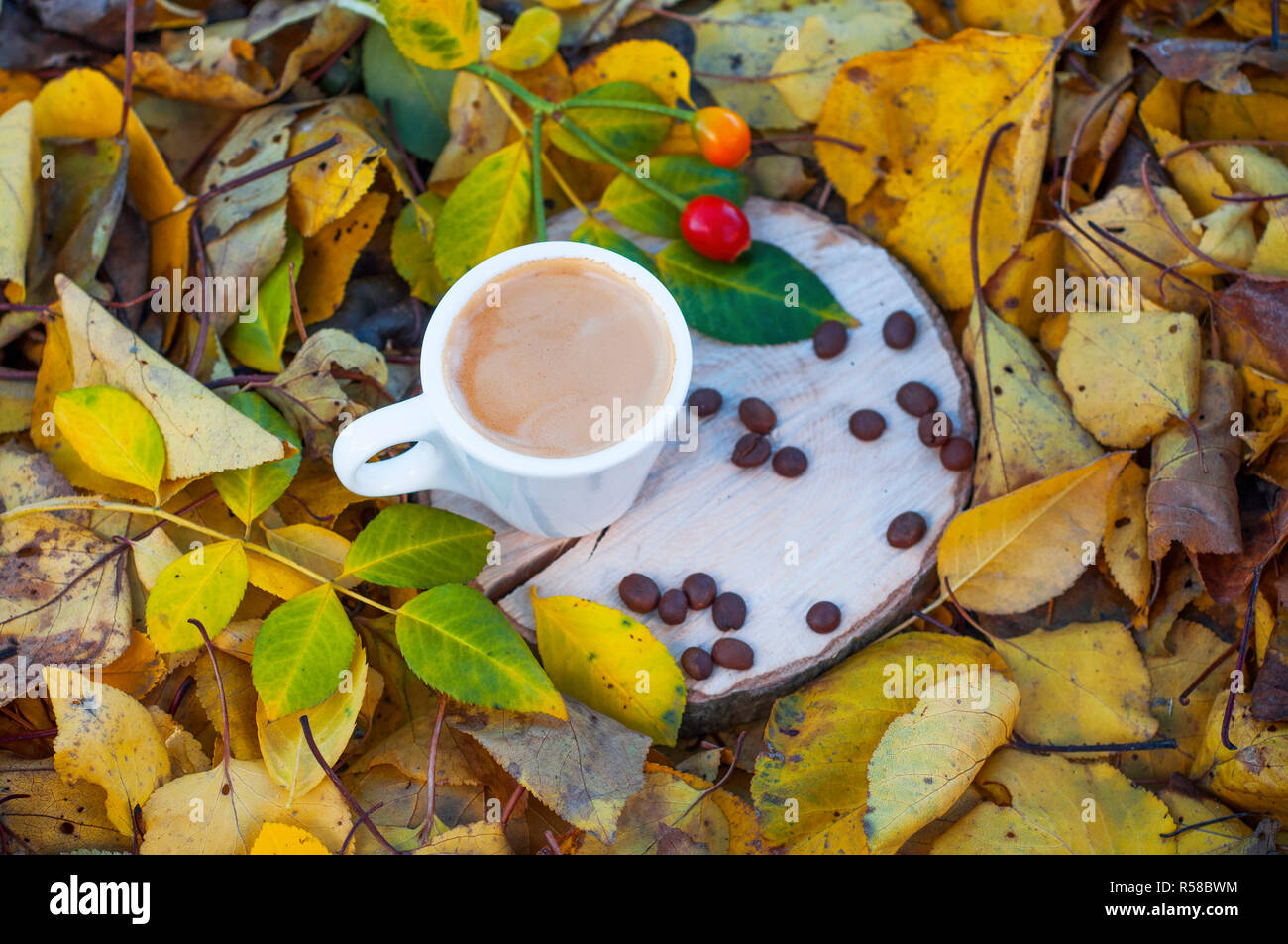 Espresso coffee in a white cup on a wooden stump Stock Photo