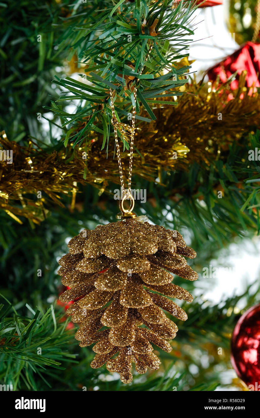 Christmas Gold Fir Cone on Tree Stock Photo