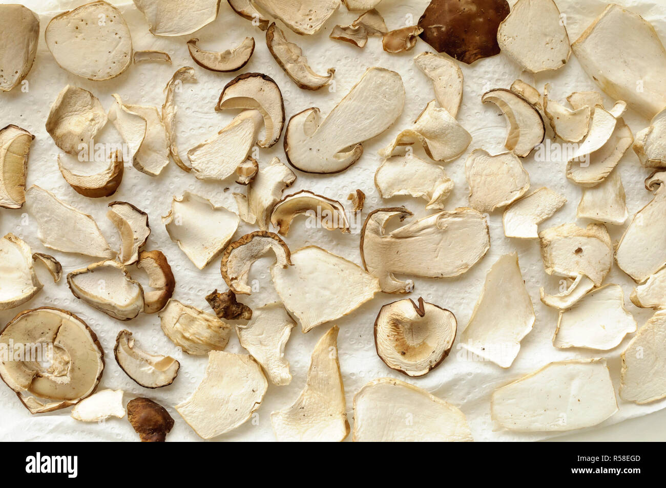 Catalan mushrooms. Harvested and dried. Rovellons and ceps Stock Photo