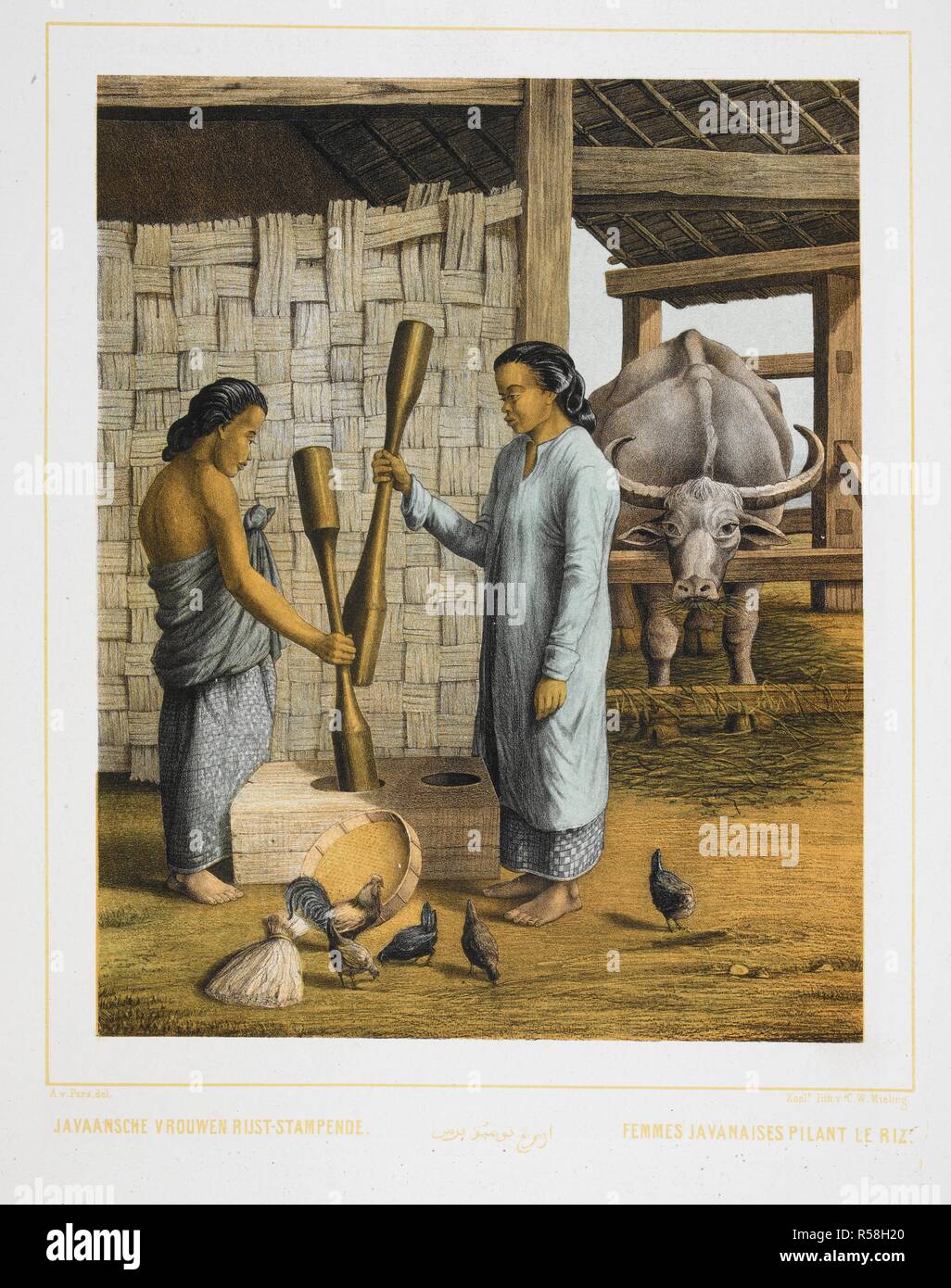 Two women of Java, grinding rice, on a farm. Chickens and an Ox can be seen. . Nederlandsch Oost-Indischen Typen. Types Indiens Neerlandais. ... S' Gravenhage, 1854-56. Colour illustration. Source: 1781.c.23, plate 30. Language: Dutch. Author: Pers, A. Van. Stock Photo