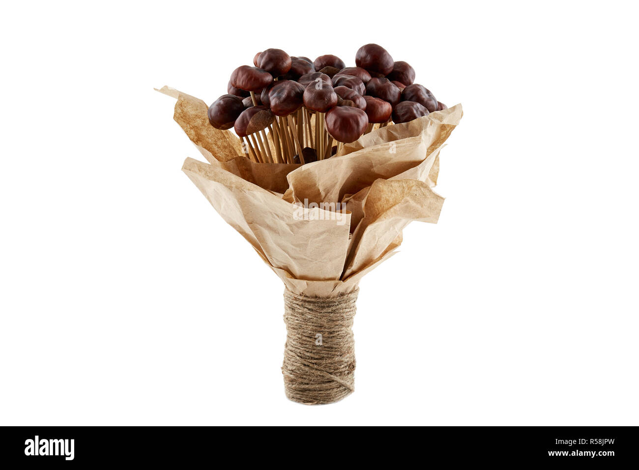 Handmade bouquet made of chestnuts in craft paper tied up with twine. Isolated. Stock Photo