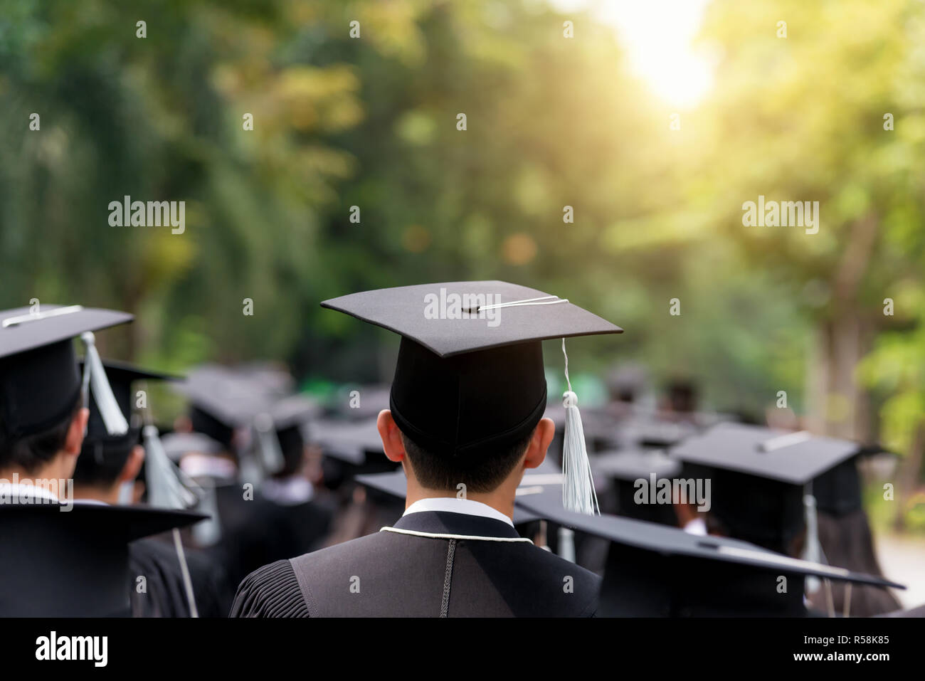 Back of graduates during commencement at university. Close up at graduate cap Stock Photo