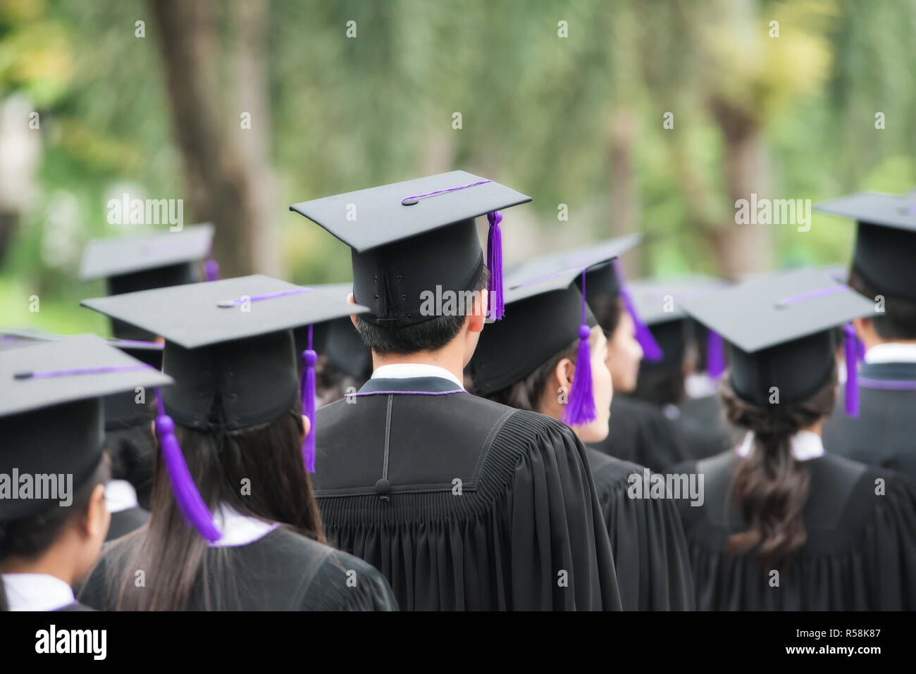 Back of graduates during commencement at university. Graduate walking. Stock Photo