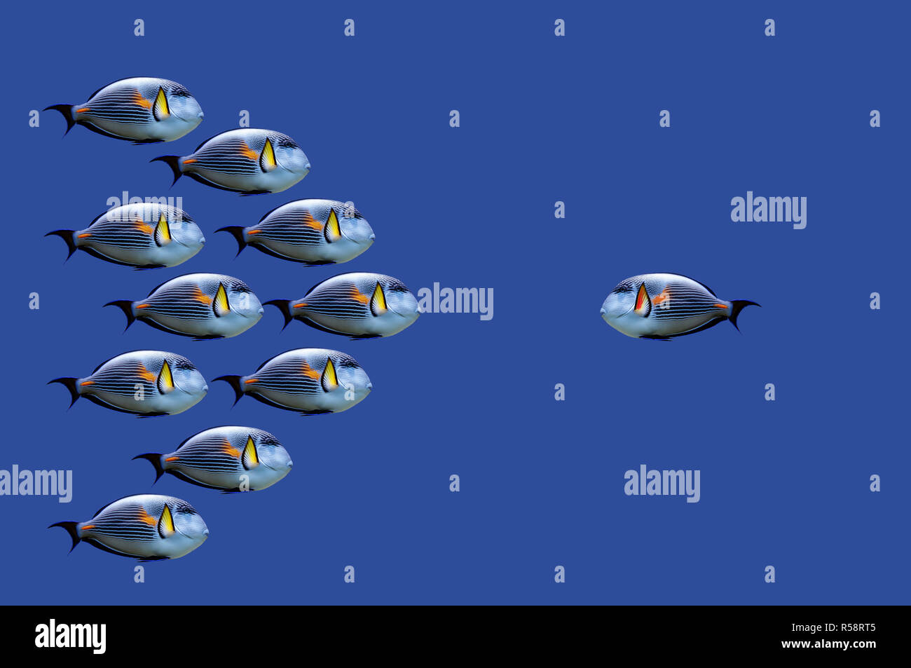 One against all Stock Photo - Alamy