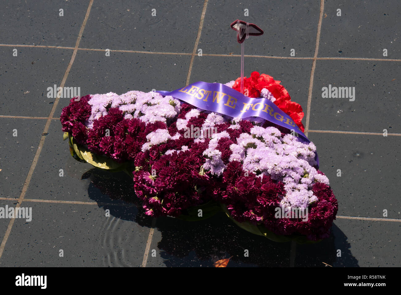 Sydney Australia Nov 11 2018, memorial wreath shaped like an airplane floating in the pool of remembrance at the ANZAC Memorial, Hyde Park Stock Photo