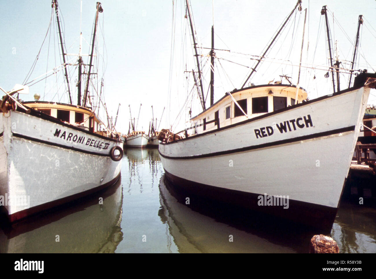 Shrimp Boats Lie at Anchor at the Commercial Fishing Dock in Key West Florida ca. 1975 Stock Photo
