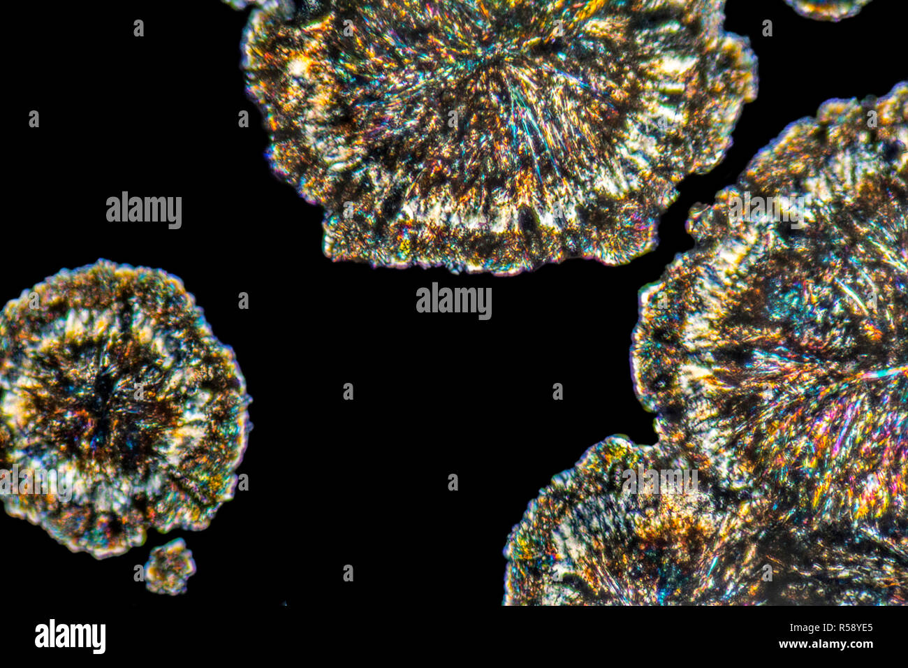 microscopic loperamide crystals Stock Photo