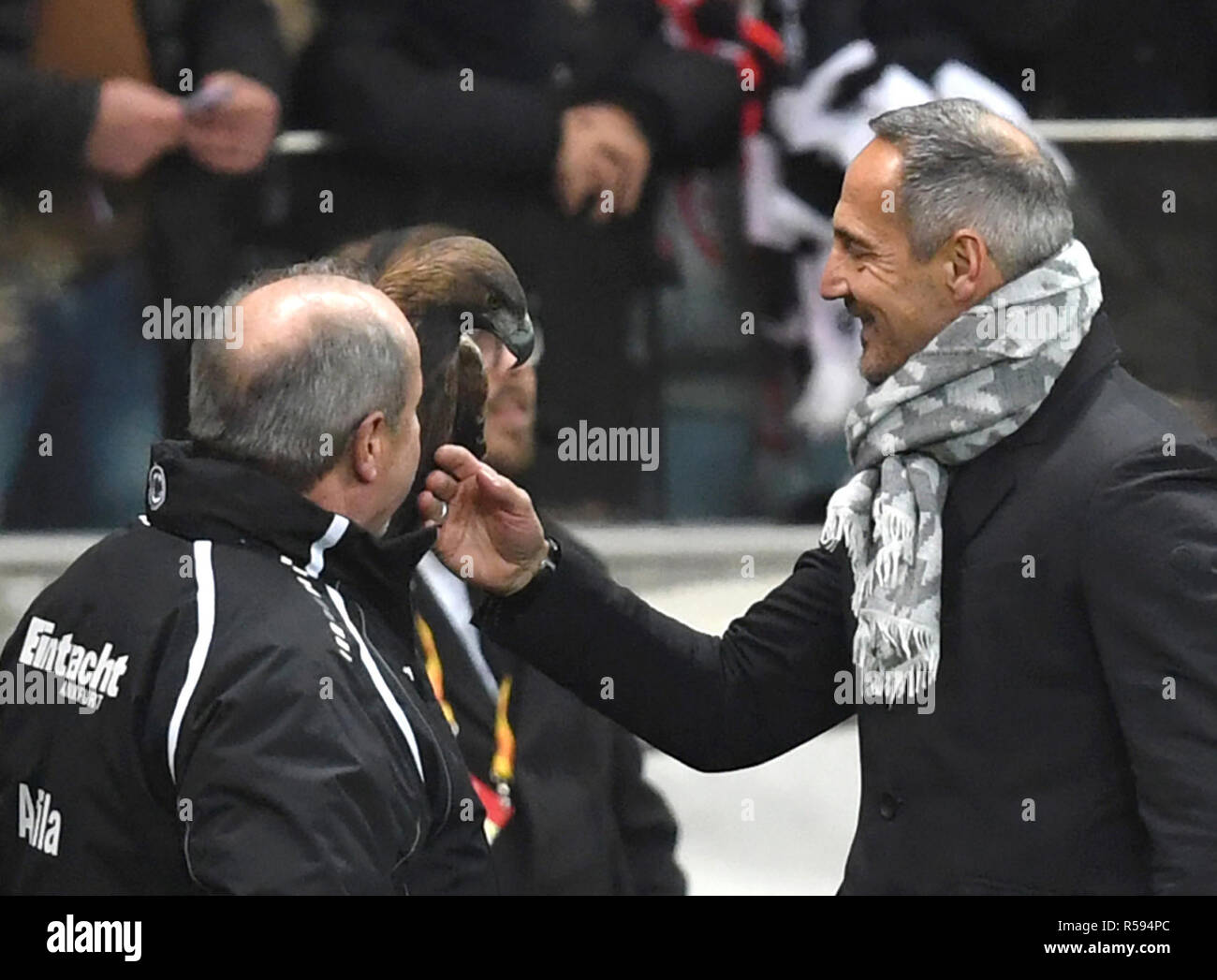 29 November 2018, Hessen, Frankfurt/Main: Soccer: Europa League, Eintracht Frankfurt - Olympique Marseille, Group stage, Group H, 5th matchday in the Commerzbank Arena. Frankfurt's head coach Adi Hütter (r) strokes the mascot of Eintracht Frankfurt, golden eagle 'Attila', in the presence of Falkner Norbert Lawitschka, after the 4-0 victory (repetition with changed picture detail - best possible quality). Photo: Arne Dedert/dpa Stock Photo