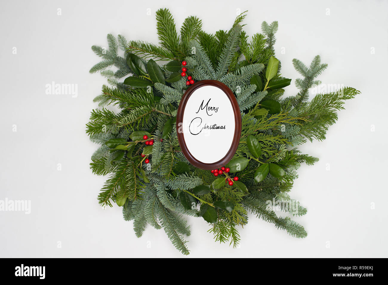 A circle of branches of different fir varieties. Green and blue firs. A ...