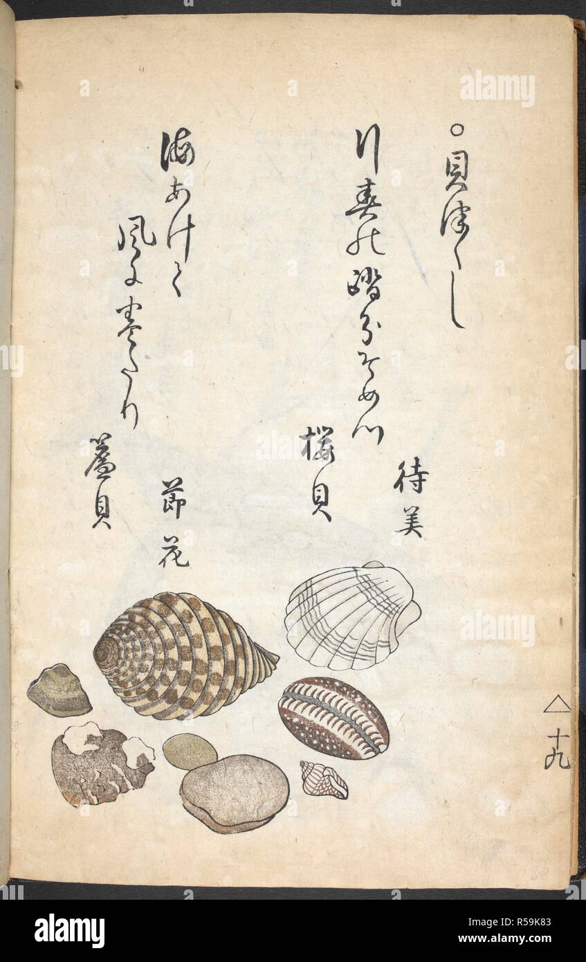 Katsuma ryusai hires stock photography and images Alamy