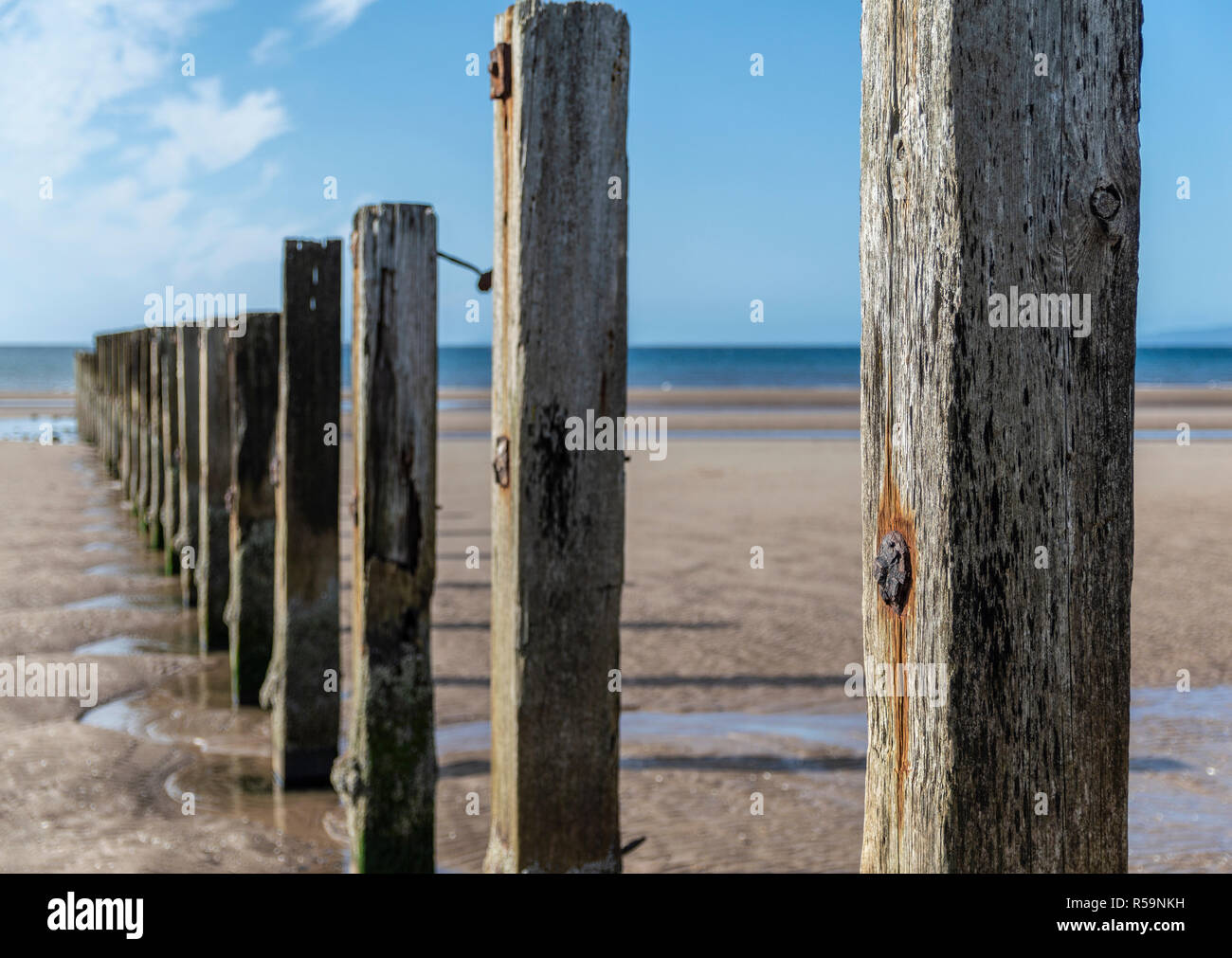 Wooden Poles on Stevenston Beach Stock Photo