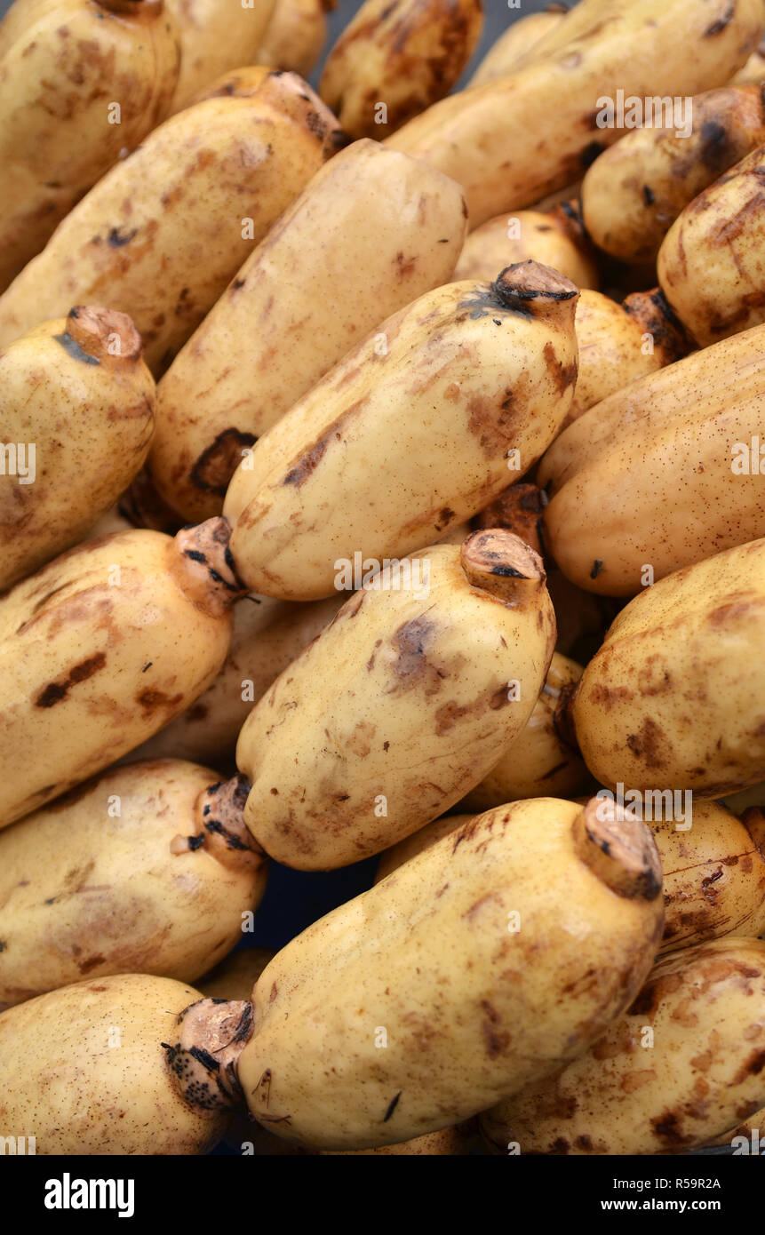 Fresh Lotus root Stock Photo Alamy